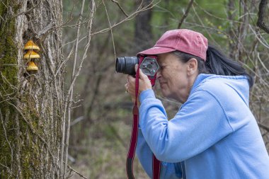 Olgun bir kadın fotoğrafçının, bir ağacın gövdesinde büyüyen alışılmadık mantarları fotoğrafladığı yatay bir yan görüntü..
