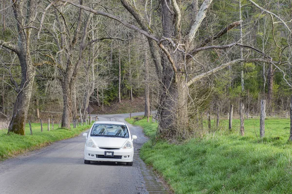 Tiro Horizontal Carro Sentado Uma Estrada Terra Bifurcada Parque Nacional — Fotografia de Stock