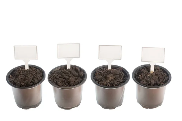 Horizontal Shot Four Potting Containers Ready Seeds Blank Signs White — Stock Photo, Image