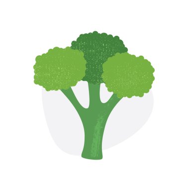 Beyaz arka plan üzerinde izole brokoli. Vektör çizim.