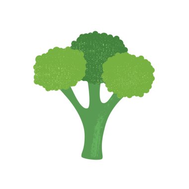 Beyaz arka plan üzerinde izole brokoli. Vektör çizim.