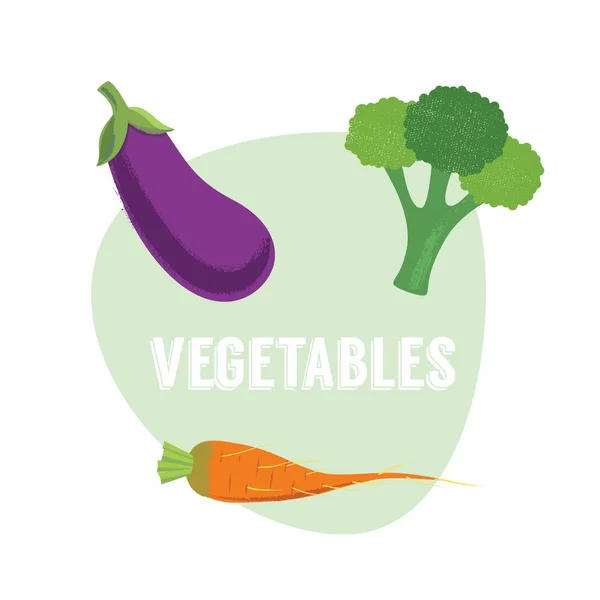 Świeże warzywa marchew, brokuły, bakłażan. Ilustracja wektorowa. — Wektor stockowy