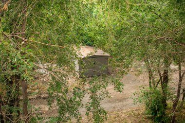 Tasarım için ilkbaharda çalılıklarda yalnız bir ev.