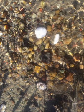 Defocus içindeki deniz çakıl taşları tasarım arka planı için sudaki taşların arkaplanını bulanıklaştırdı