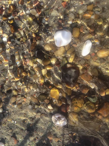 海の小石を背景に水の中の石をぼかしたデザインです ストック画像