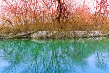 Nehirdeki ağaçların yansıması, gökkuşağının rengi.