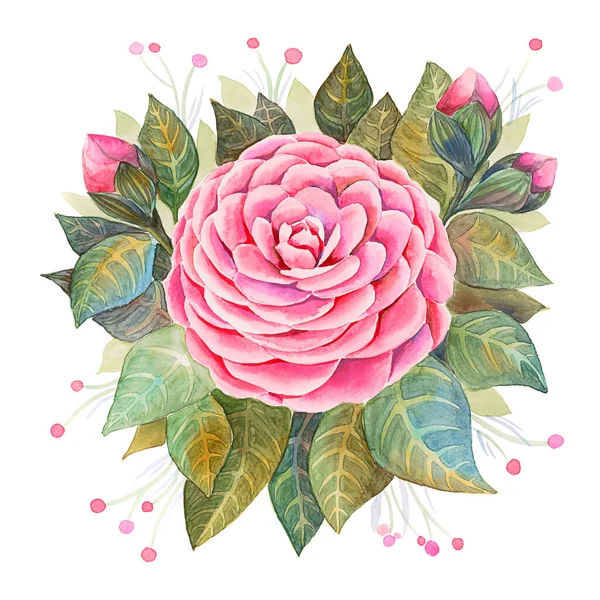 Акварель ручной работы Камелия цветок иллюстрация. Большой круглый цветок, похожий на розу в центре — стоковое фото