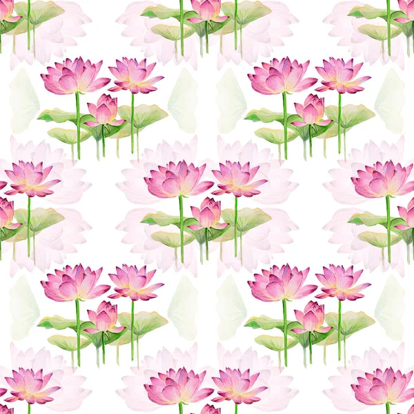 Watercolor seamless pattern with pink lotuses. Seamless symmetrical patterns of lotuse