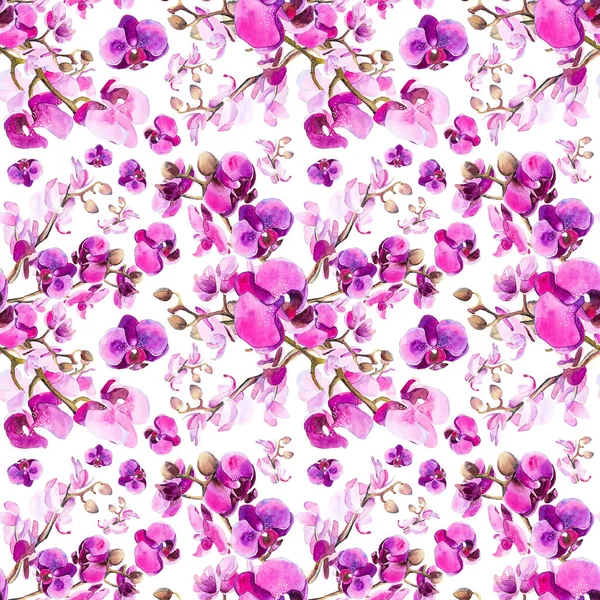 Motif d'orchidée lilas sans couture, aquarelle — Photo