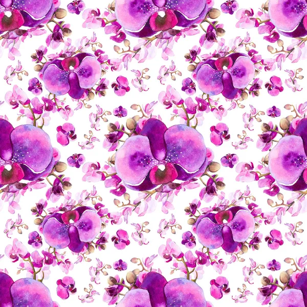 Motif d'orchidée lilas sans couture, aquarelle — Photo