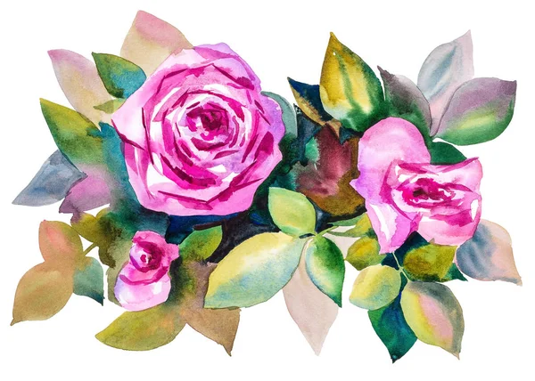 Акварель с ароматом роз — стоковое фото