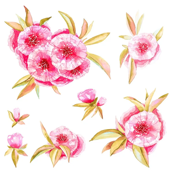 Conjunto Flores Color Rosa Con Hojas Acuarela Hecha Mano Flores —  Fotos de Stock