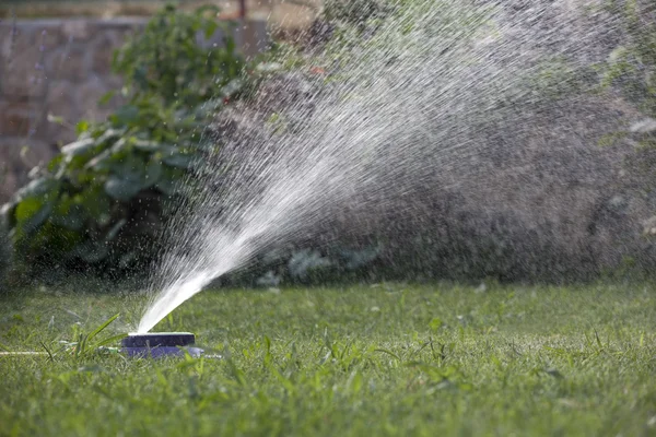 Sprinkler, der Wasser versprüht — Stockfoto