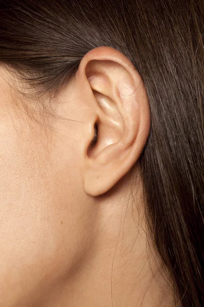 Oreja y cabello femenino — Foto de Stock