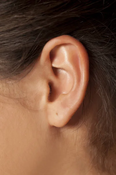 Kobiece uszu i włosów — Zdjęcie stockowe