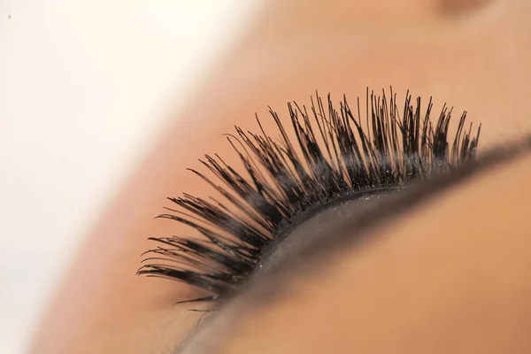 Artificial eyelashes, macro shoot of eyelash extensions