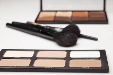 Kontur tonları ve fırçalar beyaz bir arka plan üzerinde iki paletleri