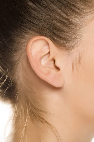 Close Female Ear — Stock Photo, Image