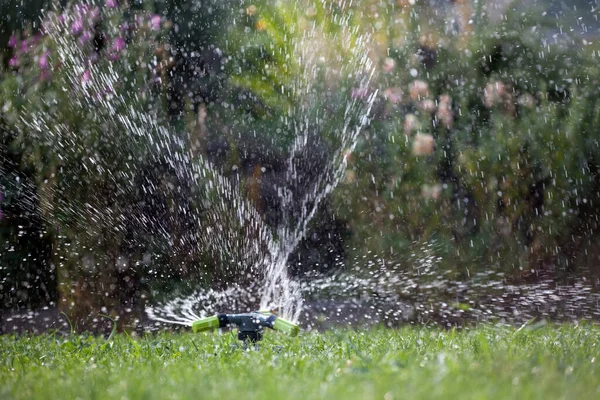 Sprinkler Sprays Water Lawn — Stock Photo, Image