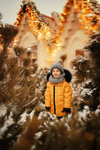 冬の光で飾られた通りの松の木の間に立つ可愛い男の子 — ストック写真