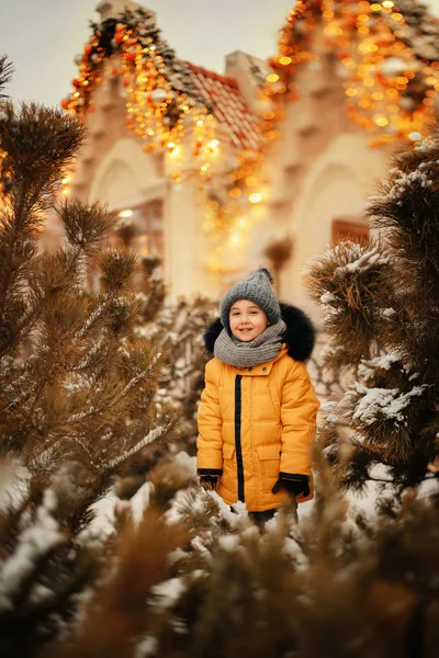 Menino Bonito Entre Pinheiros Rua Decorado Com Luzes Natal Inverno Fotos De Bancos De Imagens