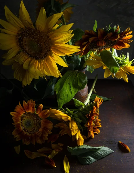 Schöne Sonnenblumen in der Vase — Stockfoto