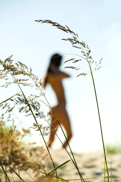 Silhouette de femme nue — Photo