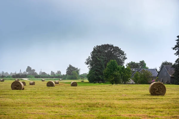 Beautiful landscape with straw bales — Stock Photo, Image