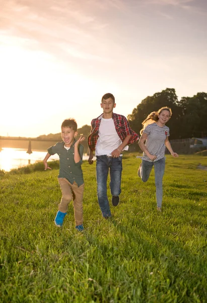 En gruppe lykkelige venner som leker catch-up game og løper i sum – stockfoto