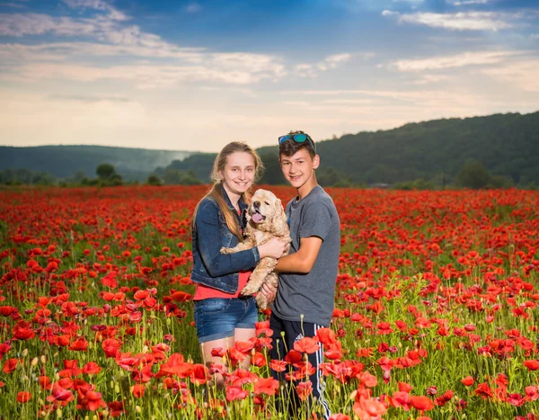 Adolescente chico y chica en el campo de amapola posando con un perro — Foto de Stock