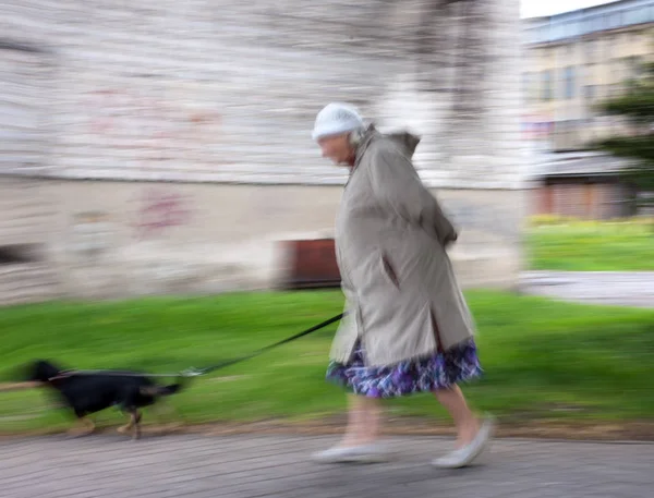 Seniorin geht mit Hund spazieren — Stockfoto
