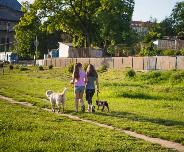Two girls walking with dogs — Stock Photo, Image