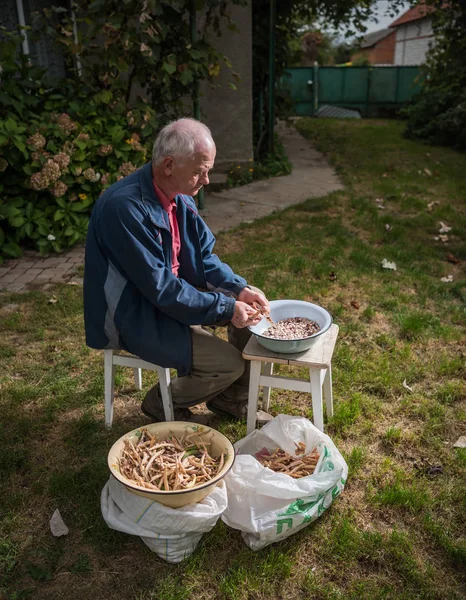 Starší muž loupání fazole — Stock fotografie