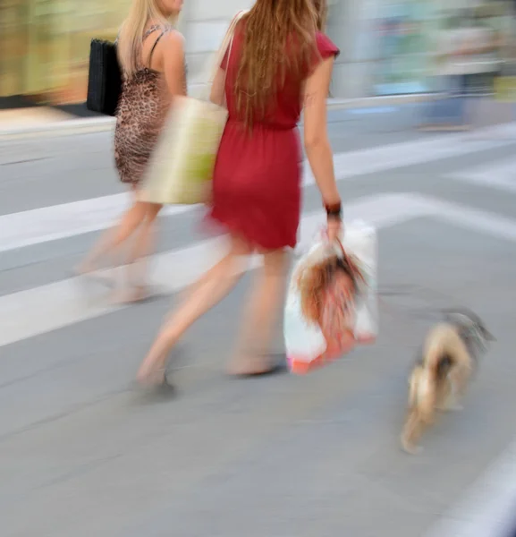 Женщины с сумками для покупок гуляют с собакой — стоковое фото