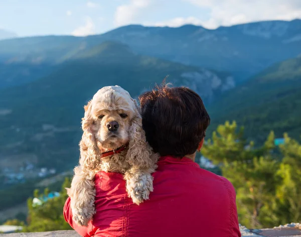 アメリカの spaniel を持つ女性 — ストック写真