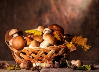 Meşe sepeti, meşe palamutları ve Meşe yaprağı üzerinde ahşap b mantar