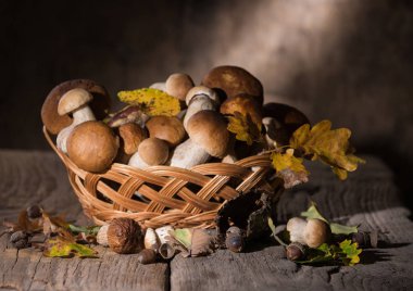 Meşe sepeti, meşe palamutları ve Meşe yaprağı üzerinde ahşap b mantar