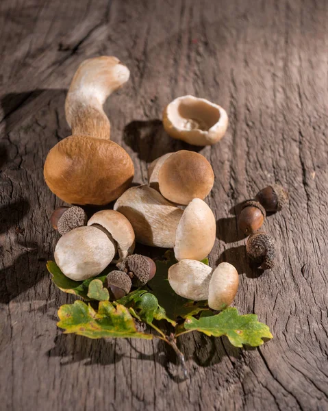 Meşe mantar, meşe palamutları ve Meşe yaprağı ahşap arka plan üzerinde