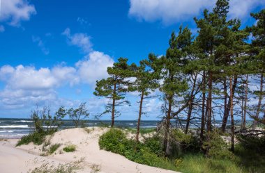 Letonya Baltık Denizi kıyısında