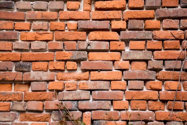 Textur der Ziegelwand — Stockfoto