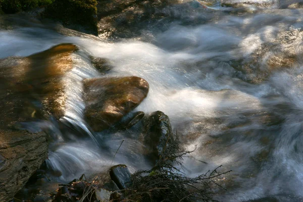 Waterfall and forest stream — Stock Photo, Image