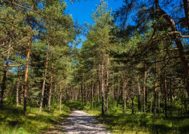 Tipik Baltık plaj manzara