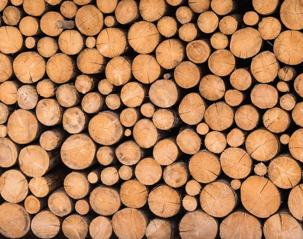 Dřevo záznamy připravena na zimu — Stock fotografie