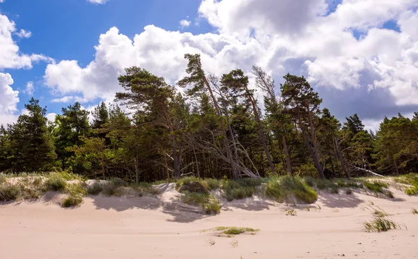 Costa do mar Báltico na Letónia — Fotografia de Stock