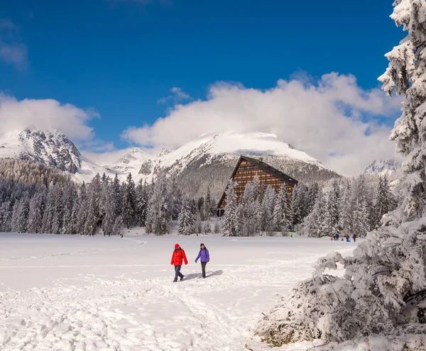 Vue hivernale de la surface enneigée gelée de Strbske Pleso — Photo