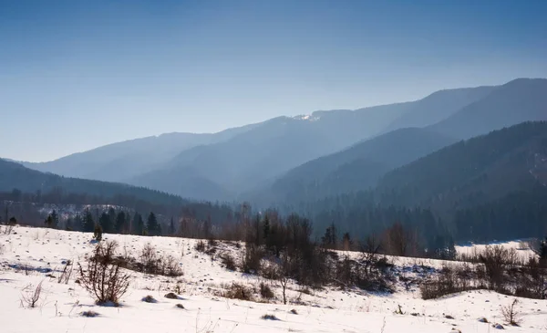 Paesaggio Invernale Della Foresta Montana — Foto Stock