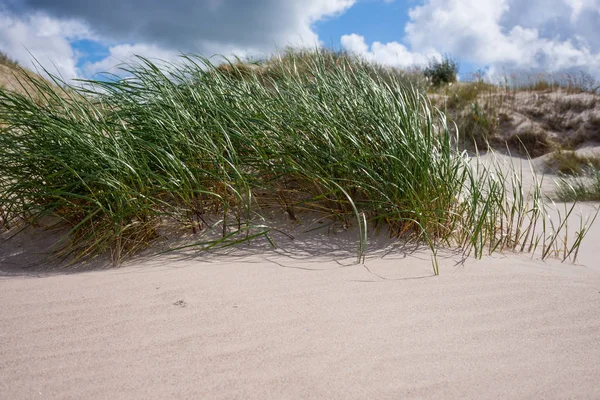 Hermosa orilla del mar Báltico en Estonia — Foto de Stock