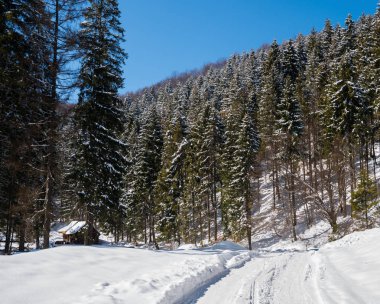 Kış dağ köyü manzara ile kar ve evler