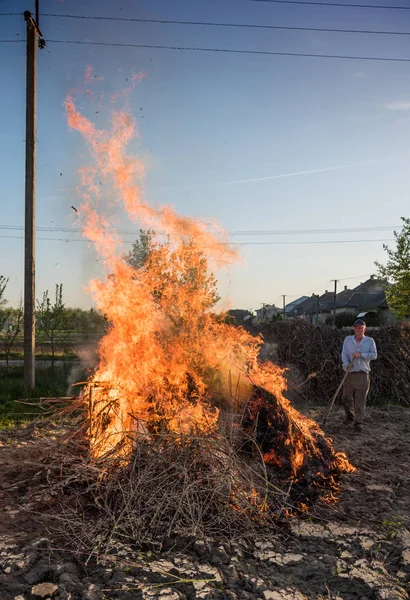 Work in the garden. Farmer burning dried branches — Stock Photo, Image