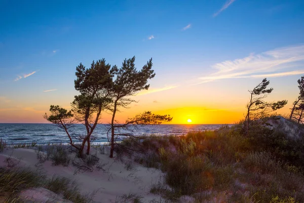 Amazing zonsondergang over het strand — Stockfoto